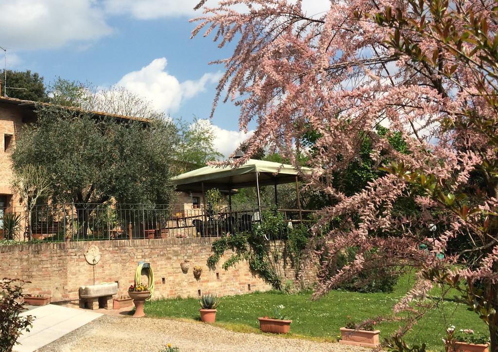 سيينا Podere Il Pero المظهر الخارجي الصورة