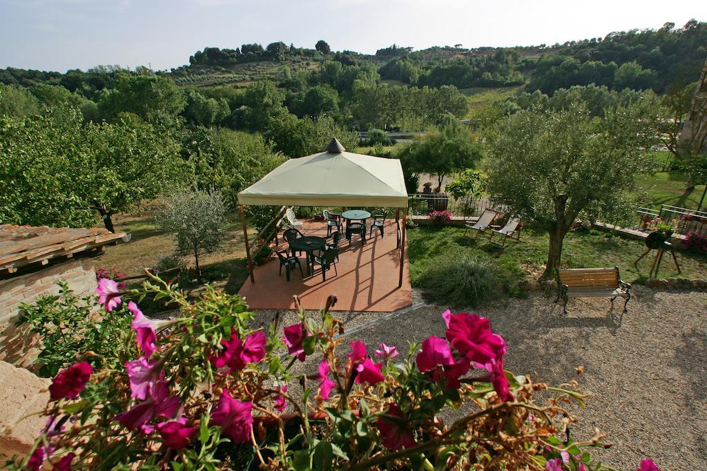 سيينا Podere Il Pero المظهر الخارجي الصورة