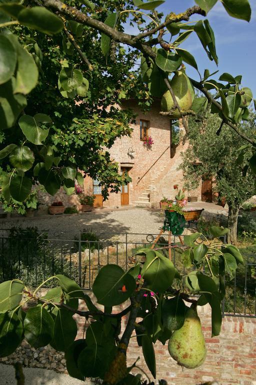 سيينا Podere Il Pero المظهر الخارجي الصورة
