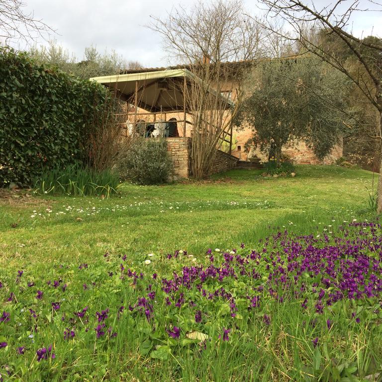 سيينا Podere Il Pero المظهر الخارجي الصورة