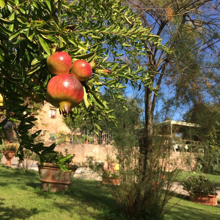 سيينا Podere Il Pero المظهر الخارجي الصورة